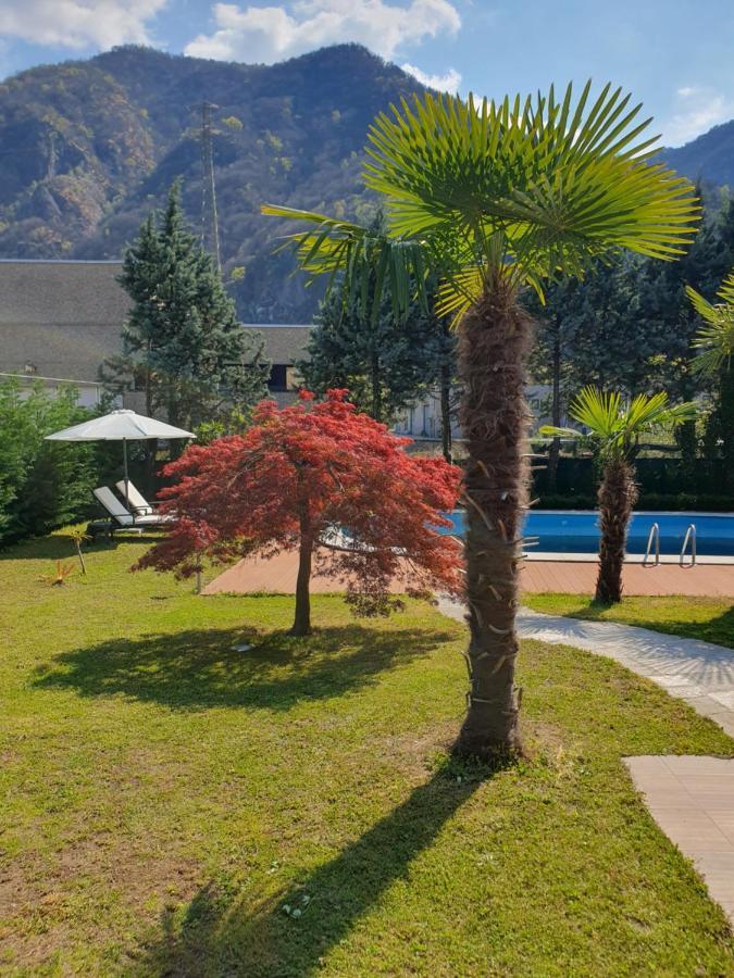 Villa Mariel Lago Maggiore Гравеллона-Точе Екстер'єр фото